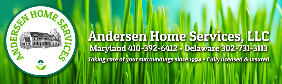 Lawn Care Sealcoating Pest Control Maryland