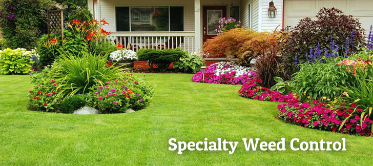Specialty Weed Control